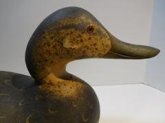 Mason Decoy Factory Challenge Grade Black Duck Original Paint - 2123399