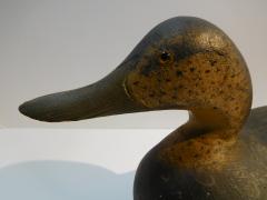 Mason Decoy Factory Challenge Grade Black Duck Original Paint - 2123400