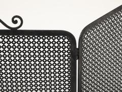 Mathieu Mat got Mathieu Mat got Black Iron Fire Screen France circa 1950 - 4139328