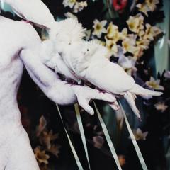 Matthew Barney Matthew Barney Cremaster 5 Her Giant 1997 C Print in Acrylic Frame - 4238789