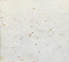 Maxim Bugzester Cottages by the Sea  - 2966651