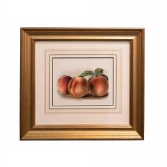 May Rivers Set of Six Fruit Chromolithographs by May Rivers English circa 1892 - 4493876