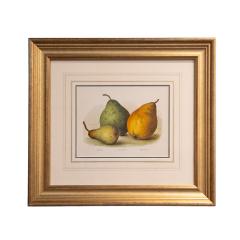 May Rivers Set of Six Fruit Chromolithographs by May Rivers English circa 1892 - 4493877