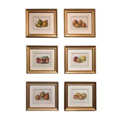 May Rivers Set of Six Fruit Chromolithographs by May Rivers English circa 1892 - 4493878
