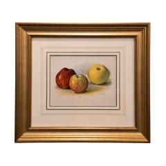 May Rivers Set of Six Fruit Chromolithographs by May Rivers English circa 1892 - 4493880