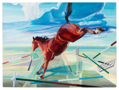 Mehdi Farhadian Mane of Fury 2026 - 4512919