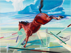 Mehdi Farhadian Mane of Fury 2026 - 4513210