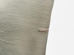 Melchiorre Bega Melchiorre Bega Green Fabric Wood Lounge Chair Italy 1950s - 4433730