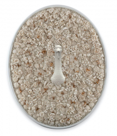 Melis Buyruk The Goose Symbol of Greed 2024 - 4344850