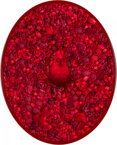Melis Buyruk The Rooster Symbol of Lust 2024 - 4344931