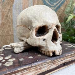 Memento Mori Carved and Polychrome Painted Wood 1780 - 4063371