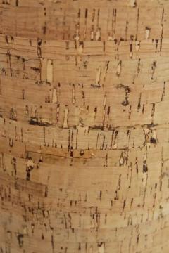 Metal Accent Lamps w cork shades - 4148057
