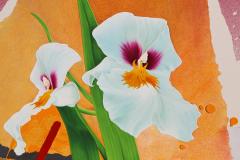 Michael Knigin White Irises - 3336379