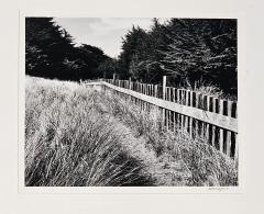 Michael Wayman Trail and Fence Sea Road dated 1991 2 - 3392317