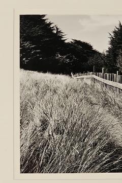 Michael Wayman Trail and Fence Sea Road dated 1991 2 - 3392319