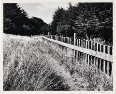 Michael Wayman Trail and Fence Sea Road dated 1991 2 - 3392376