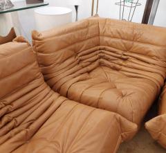 Ligne Roset by Michel Ducaroy Togo Brown Leather Sofa, Set of 4