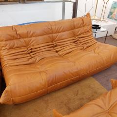 Michel Ducaroy Brown Leather Togo Sofa Set by Michel Ducaroy for Ligne Roset - 2427602