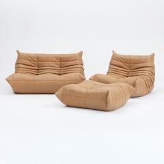 Michel Ducaroy Vintage Ligne Roset Togo Set in Italian Honey Leather Restored - 4526075