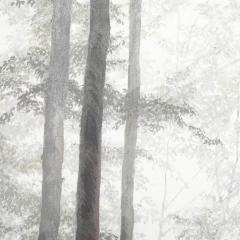 Michele Harvey Modernist Oil on Linen Painting entitled Dancers by Michele Harvey - 4514297