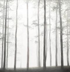 Michele Harvey Modernist Oil on Linen Painting entitled Dancers by Michele Harvey - 4515305