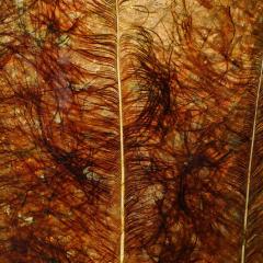 Mid Century Ceramic Table Lamp W Naturalist Resin Shade Illuminated Cutout - 4376989