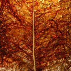 Mid Century Ceramic Table Lamp W Naturalist Resin Shade Illuminated Cutout - 4376991