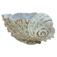 Mid Century Coastal Modern Large and Realistic Faux Seashell Sculpture - 2757034