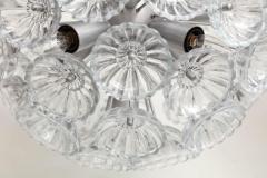 Mid Century Glass Flower Sputnik Chandelier - 2063318