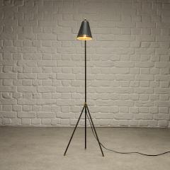 Mid Century Grasshopper Floor Lamp Sweden 1950s - 4075008