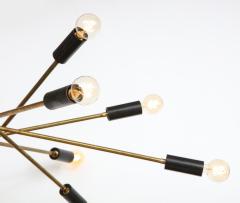 Mid Century Italian Black and Brass Sputnik Chandelier - 2057738