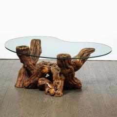 Mid Century Modern Burled Driftwood Cocktail Table with Amorphic Glass Top - 1950189