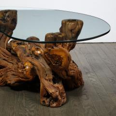 Mid Century Modern Burled Driftwood Cocktail Table with Amorphic Glass Top - 1950193