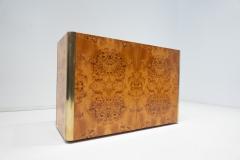 Mid Century Modern Chest in Ash Burl Brass - 2927968