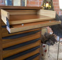 Mid Century Modern Chest of Drawers Italian Manufacture 1950s - 1554809