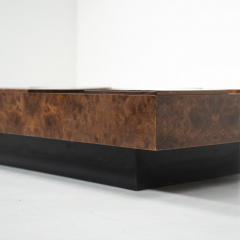 Mid Century Modern Coffee Table Brass and Burl Wood Italy 1970s - 4232307