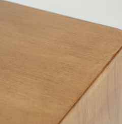 Mid Century Modern Desk by Derk Jan De Vries Domus 1960s - 4345090