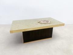 Mid Century Modern Fossil Wood Coffee Table - 2838002