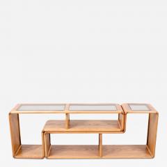 Mid Century Modern Modular Oak Glass Bookshelves - 3213657