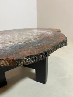 Mid Century Modern Petrified Wood Coffee Table - 2975235