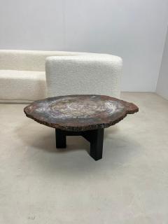 Mid Century Modern Petrified Wood Coffee Table - 2975236