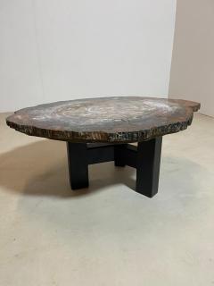 Mid Century Modern Petrified Wood Coffee Table - 2975237