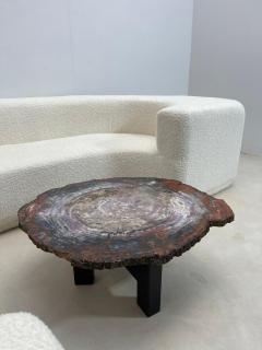 Mid Century Modern Petrified Wood Coffee Table - 2975238