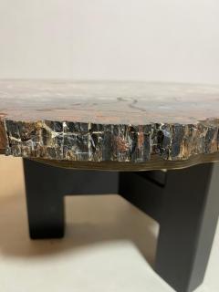 Mid Century Modern Petrified Wood Coffee Table - 2975241