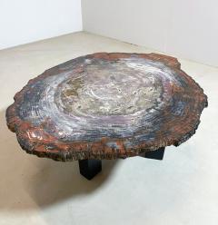 Mid Century Modern Petrified Wood Coffee Table - 2975245