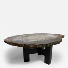 Mid Century Modern Petrified Wood Coffee Table - 2980281