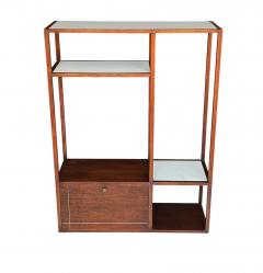 Mid Century Modern Wall Unit or Shelving Unit in Walnut with Milk Glass Shelves - 4317386