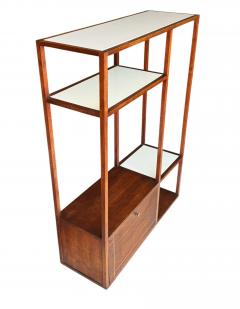Mid Century Modern Wall Unit or Shelving Unit in Walnut with Milk Glass Shelves - 4317392
