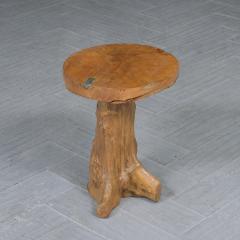 Mid Century Modern Walnut Free Form Root Tree Table - 3172085