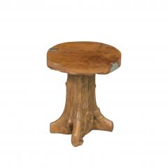 Mid Century Modern Walnut Free Form Root Tree Table - 3195032